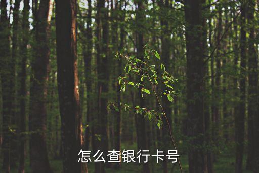 怎么查銀行卡號