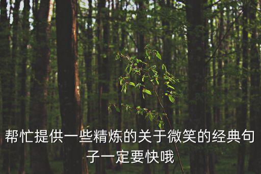 幫忙提供一些精煉的關于微笑的經典句子一定要快哦