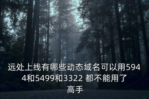 遠處上線有哪些動態域名可以用5944和5499和3322 都不能用了 高手