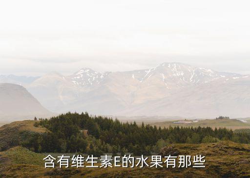 維生素e水果，含有維生素E的水果有那些