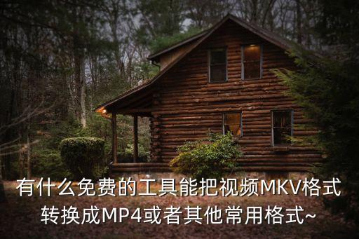 貍貓轉(zhuǎn)換器,什么電影都可以轉(zhuǎn)換3gp格式轉(zhuǎn)換器