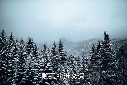 儲藏的意思，貯存的讀音是什么