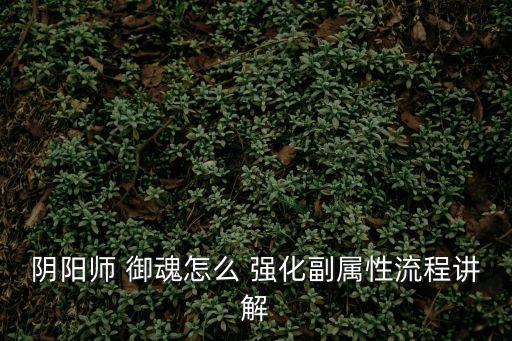 陰陽師 御魂怎么 強化副屬性流程講解