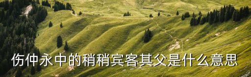 傷仲永中的稍稍賓客其父是什么意思