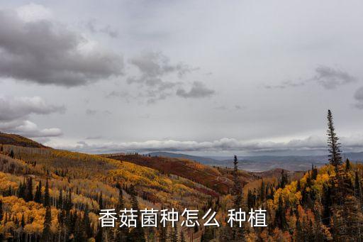  香菇菌種怎么 種植