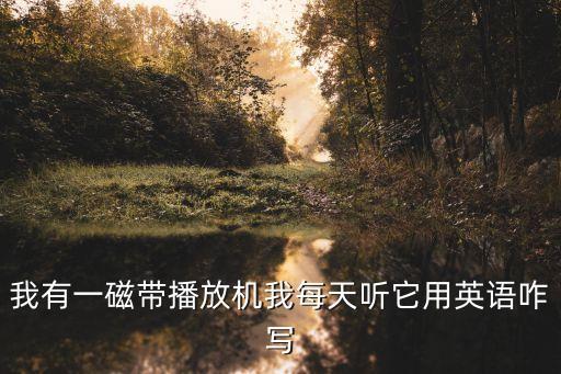 我有一磁帶播放機我每天聽它用英語咋寫