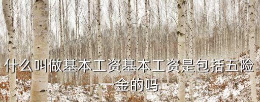 什么叫做基本工資基本工資是包括五險(xiǎn)一金的嗎