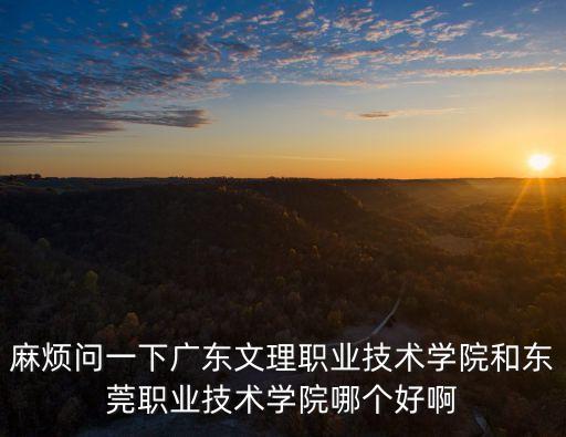 麻煩問一下廣東文理職業技術學院和東莞職業技術學院哪個好啊