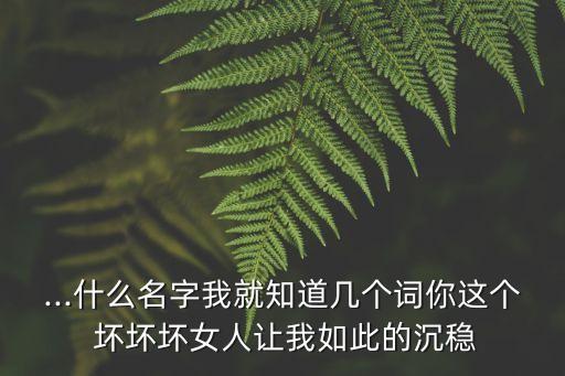 ...什么名字我就知道幾個詞你這個 壞壞壞女人讓我如此的沉穩