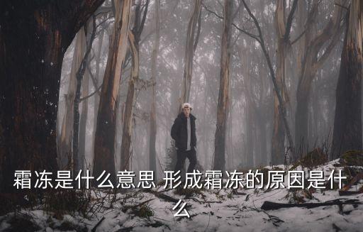 霜凍是什么意思，什么是霜凍