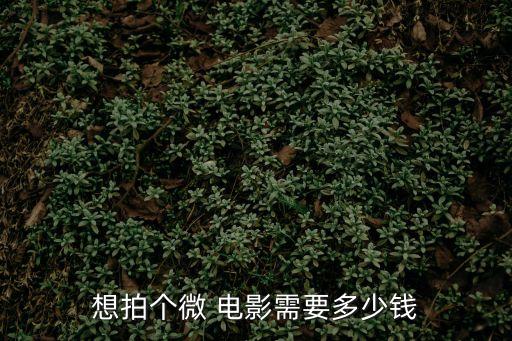 企業(yè)微電影,企業(yè)自然微電影成本高于個(gè)人屬性質(zhì)量要求更高