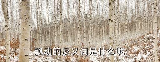 飄動的反義詞是什么呢