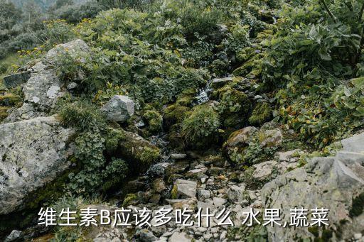 維生素b1的食物和水果,維生素b1的食物和水果有哪些?