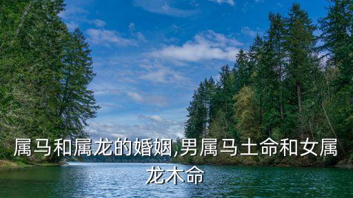 屬馬和屬龍的婚姻,男屬馬土命和女屬龍木命