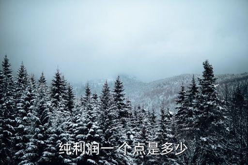 純利潤一 個點是多少
