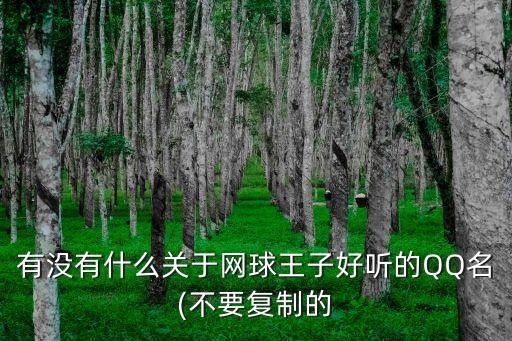 有沒有什么關(guān)于網(wǎng)球王子好聽的QQ名(不要復(fù)制的