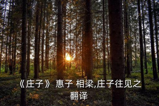 惠子相梁翻譯,第二集:惠子相梁的宰相