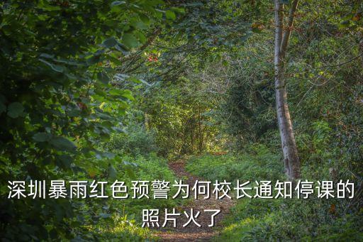 深圳暴雨紅色預(yù)警為何校長(zhǎng)通知停課的照片火了