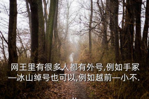  網(wǎng)王里有很多人都有外號,例如手冢—冰山綽號也可以,例如越前—小不...