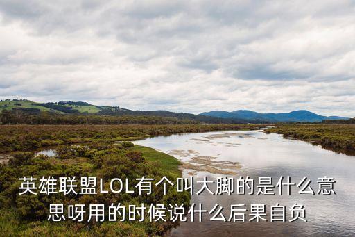 英雄聯盟LOL有個叫大腳的是什么意思呀用的時候說什么后果自負