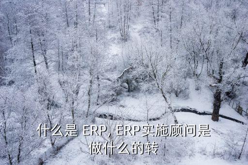 ERP工程師,軟件開發工程師的職業前景分析