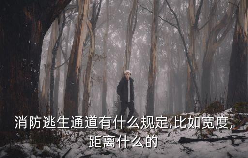 實驗大樓安全出口的疏散門應,化學實驗室安全出口不應少于兩個