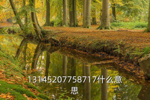 13145207758717什么意思