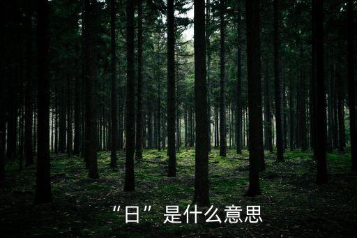 “日”是什么意思