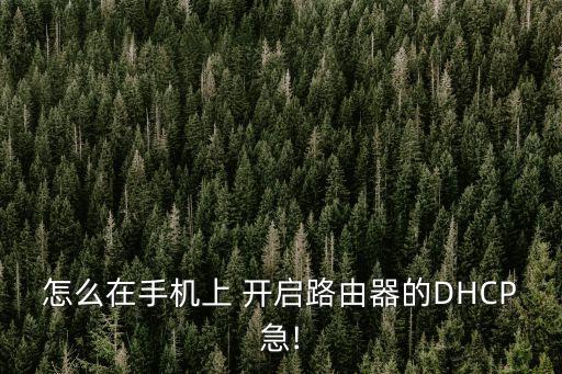dhcp怎么開啟,dhcp服務未開啟怎么辦?