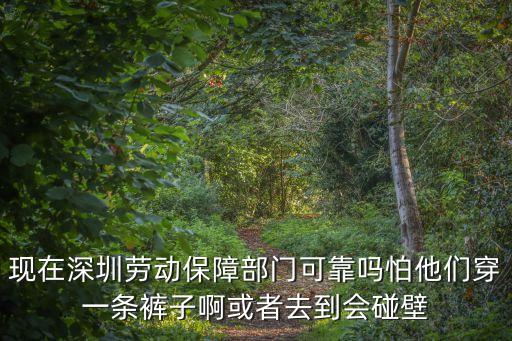 瘟疫當前深圳工作，深圳現在有瘟疫嗎