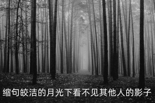 皎潔的月光，縮句皎潔的月光下看不見其他人的影子