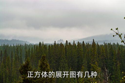 正方體的展開圖有幾種