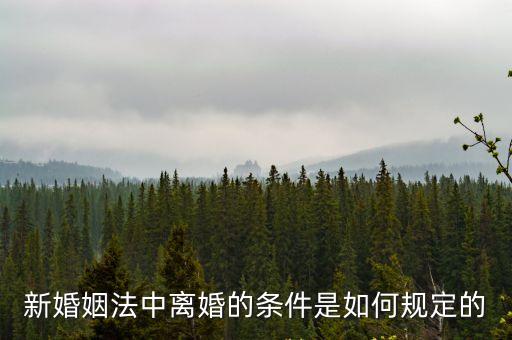 新婚姻法中離婚的條件是如何規定的