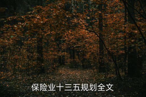 上海市保險業(yè)十三五規(guī)劃，保險公司五年發(fā)展規(guī)劃綱要