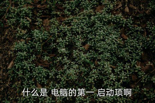 電腦啟動項,怎么設置電腦的開機啟動項?
