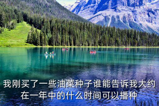 我剛買了一些油菜種子誰能告訴我大約在一年中的什么時間可以播種