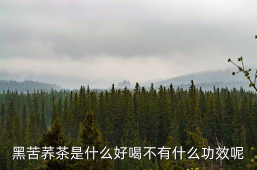 黑苦蕎茶，黑苦蕎茶是什么東西誰(shuí)能略詳細(xì)說一二主要成分有哪些