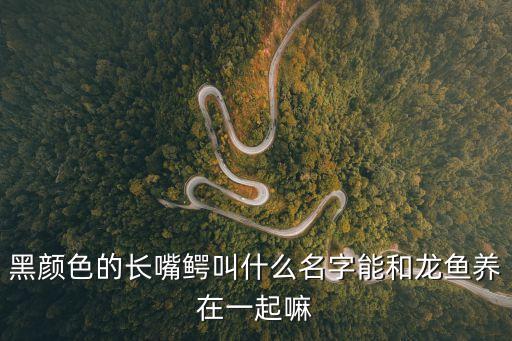 黑鱷，有一篇男主角叫黑鱷的黑幫耽美文是什么名字