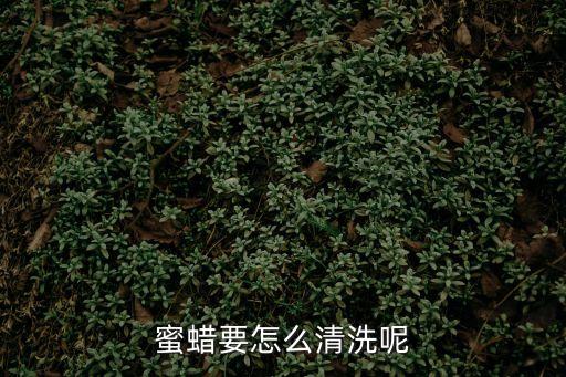 蜜蠟保養，如何保養蜜蠟飾品