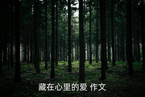 藏在心底的愛，作文藏在心底里的愛600字
