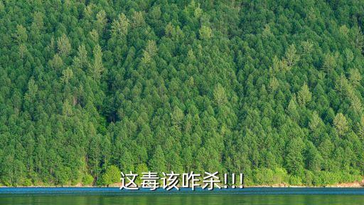 殺毒軟件排行榜,免費殺毒軟件怎樣排行?