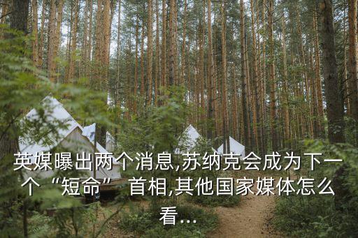 英國首相卡梅倫,梅姨是英國前首相嗎?