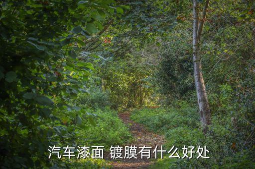  汽車漆面 鍍膜有什么好處
