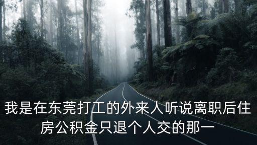 我是在東莞打工的外來人聽說離職后住房公積金只退個(gè)人交的那一