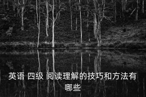 英語 四級 閱讀理解的技巧和方法有哪些