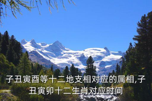 子丑寅酉等十二地支相對應的屬相,子丑寅卯十二生肖對應時間