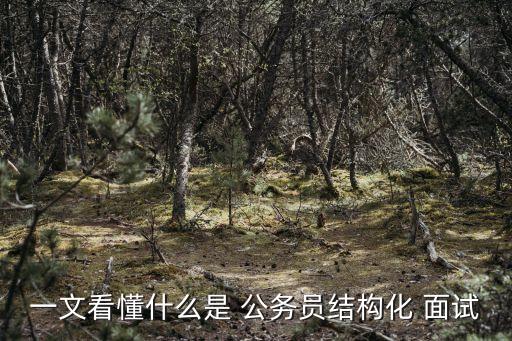 公務員面試題庫,試題從公園面考試試卷庫隨機抽取