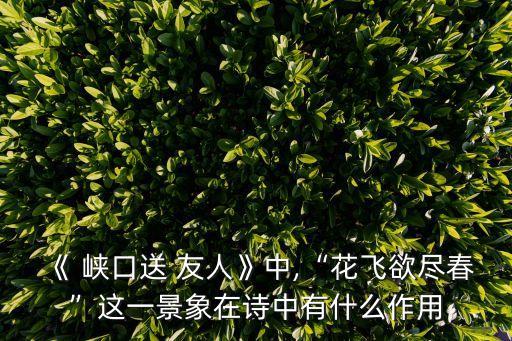 峽口送友人,峽口飛花欲盡春這首詩有何用處?