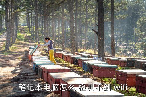 筆記本電腦怎么 檢測不到 wifi