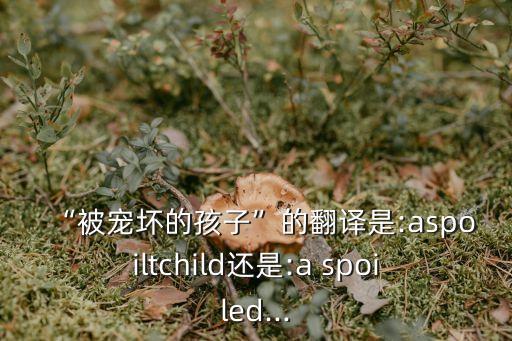 spoiled,死者都是什么鬼?
